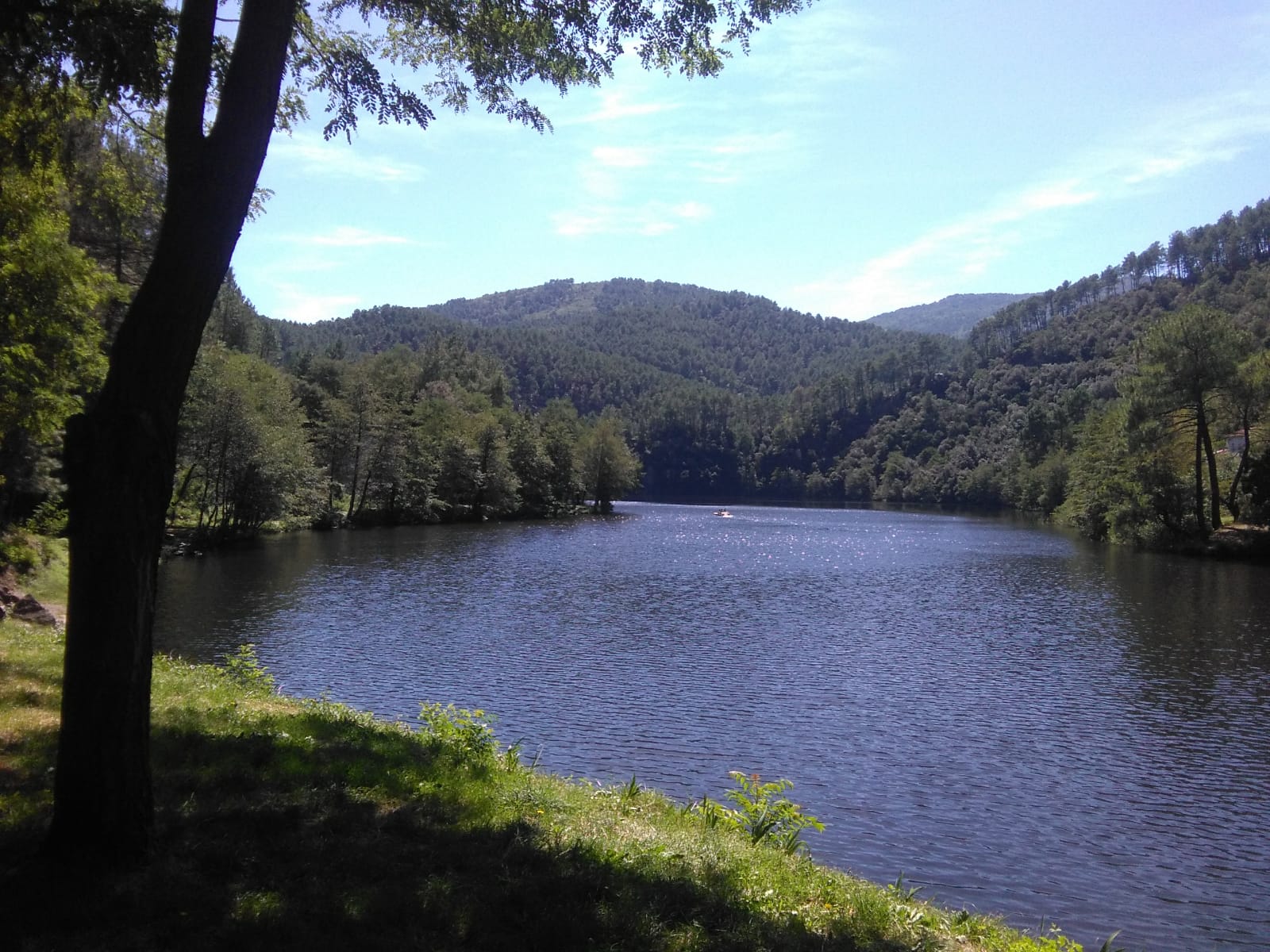 El vincle entre natura i espiritualitat. Cap a un nou paradigma