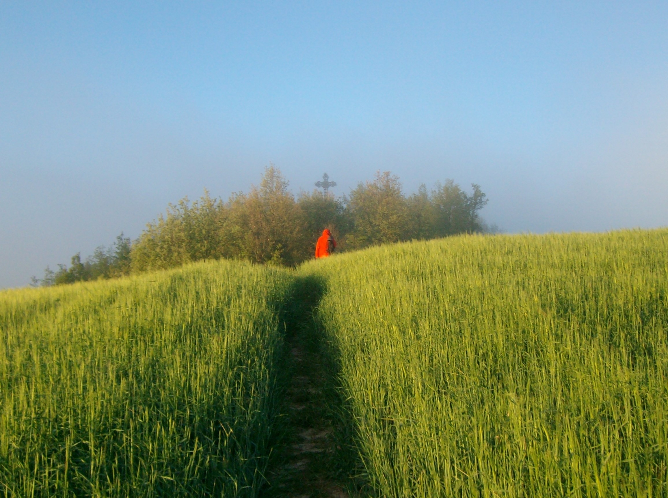 El repte de recuperar el vincle espiritual amb la natura en el cristianisme d’avui