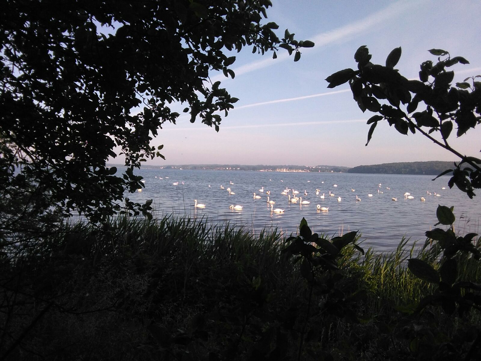 Els vincles socials amb la Natura mare i mestra, responsabilitats i deures