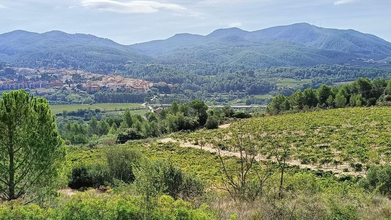 Què caldria per revertir la pèrdua de biodiversitat a Catalunya?